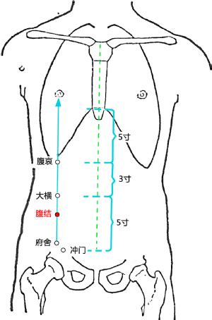 腹結穴位置|腹结